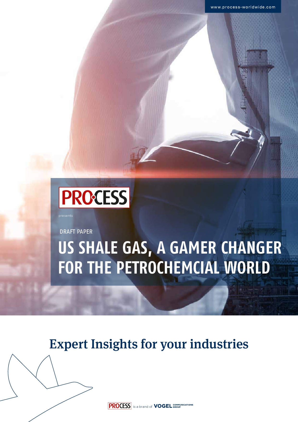 PROCESS Insights: US Shale gas, a gamer changer for the Petrochemical world