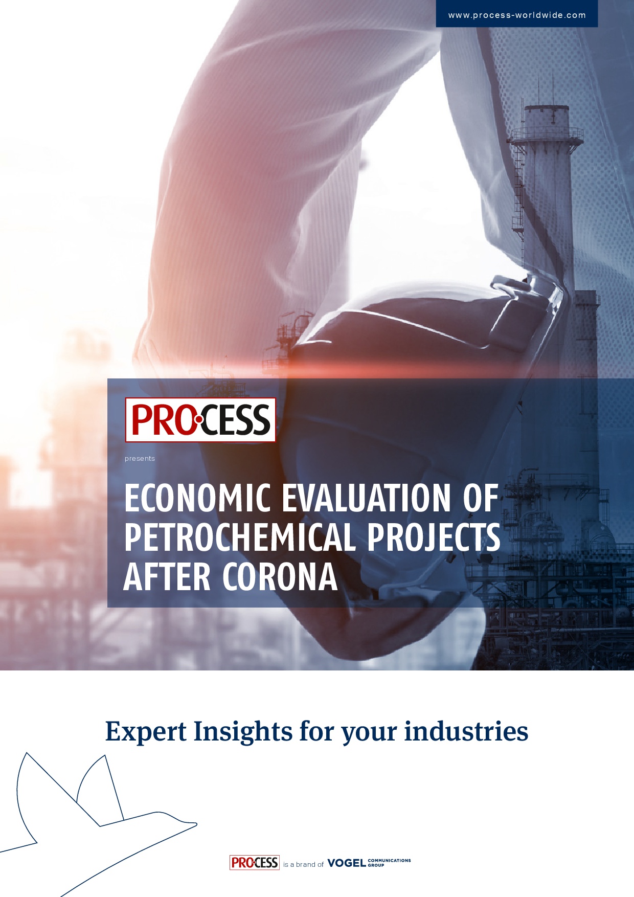 PROCESS Insights: Economic Evaluation of Petrochemical Projects after Corona